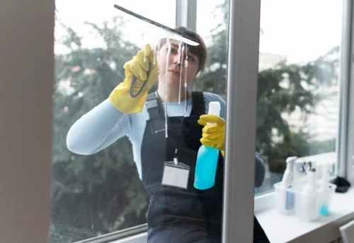 Nettoyage de vitres intérieures et extérieures à Bleurville